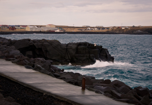 20140221 DSC 8193 1000