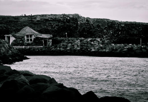 20140221 DSC 8199 1000