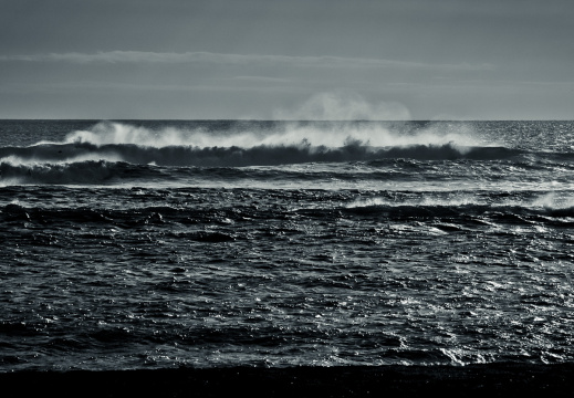 20140226 DSC 8819 1000