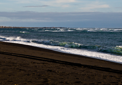 20140226 DSC 8820 1000