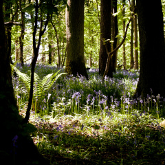 20130602 DSC 5866 1000