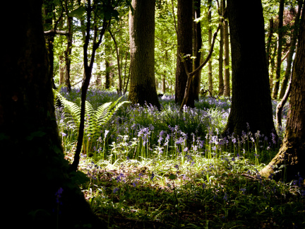 20130602 DSC 5866 1000