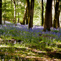 20130602 DSC 5869 1000