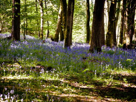 20130602 DSC 5869 1000