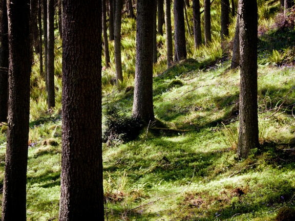 20130602 DSC 5871 1000