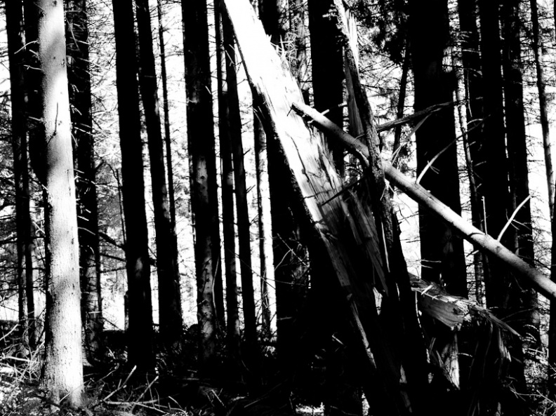 20130602 DSC 5877 1000