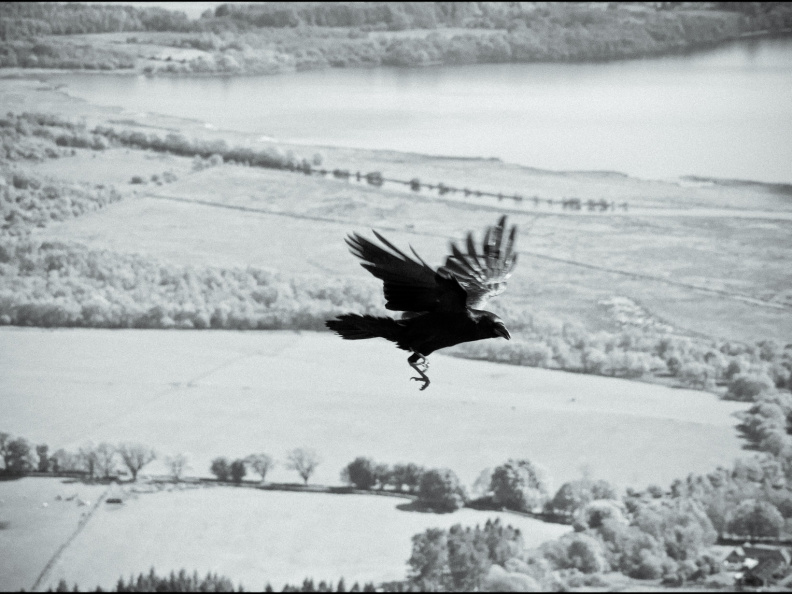 20130602 DSC 5915 1000