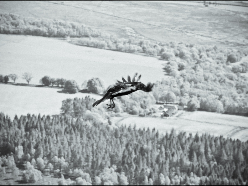 20130602 DSC 5916 1000