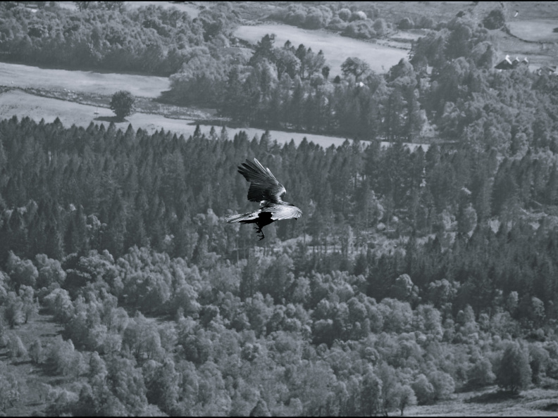 20130602 DSC 5919 1000