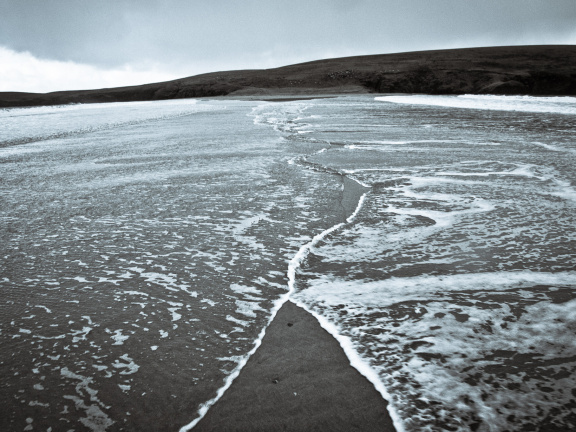 20150126 DSC 1794 1000