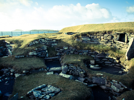 20150126 DSC 1817 1000