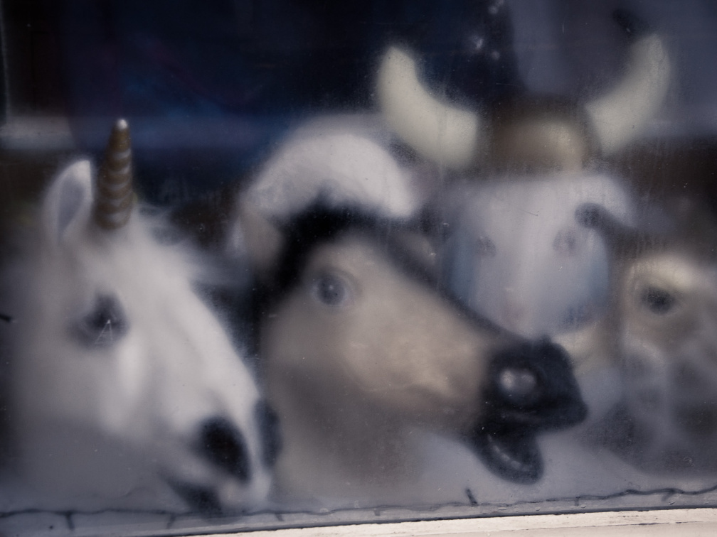 20150126 DSC 1852 1000