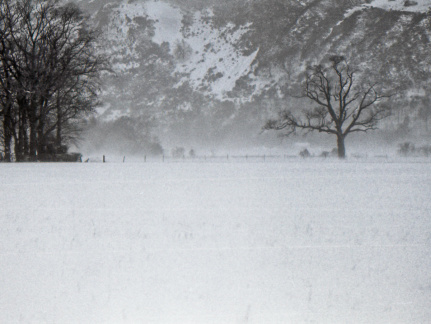 OM30 fp4 tamron 70-150ad2 solGstand 023