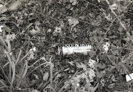 AE1 fp4 oldHC110 stand 001