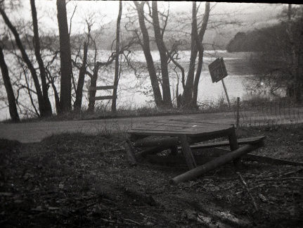 halina pet hp5 hc110 semistand 004