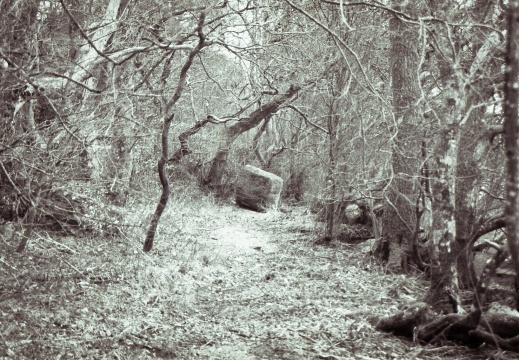 om20 foma100 hc110F002