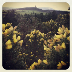 c5f995353dab7ff22c65947a747f817a