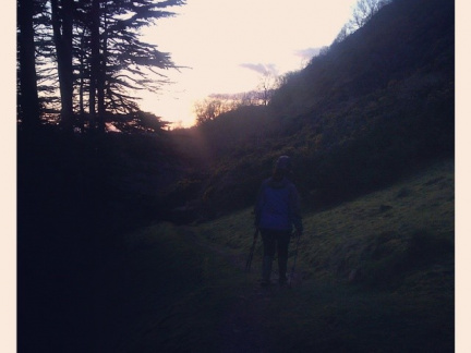 d0144738244bb41fb4692a0052ec4390