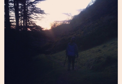 d0144738244bb41fb4692a0052ec4390