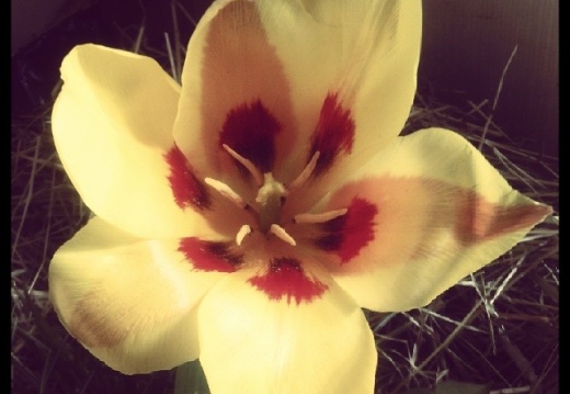 e62306ba86acba659ea48ccbf0085f72