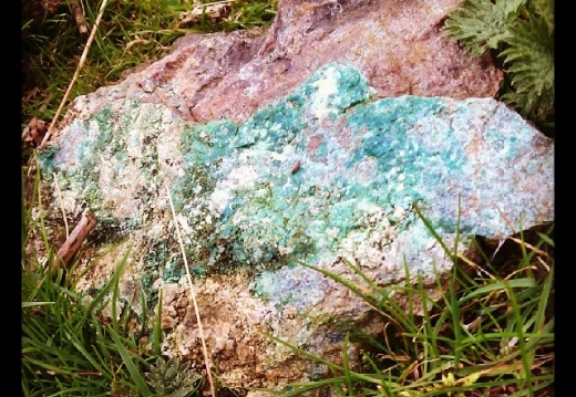 f8e427ce9ffa8d138f0598794f646a16