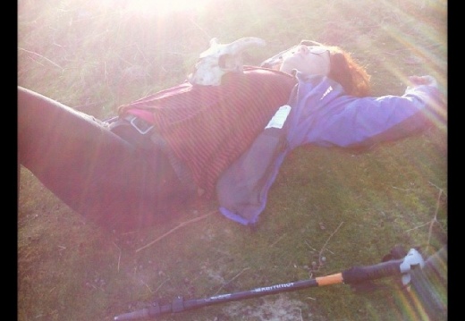 f01784eabdb3e086370f798ca5844003