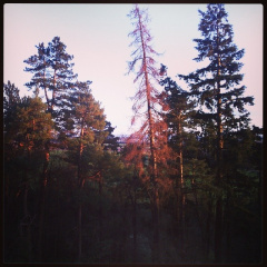 3f9a59e1f0401db982696cb44a6c093d