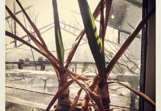 7ed75cd67c628402fe74881850423ea2