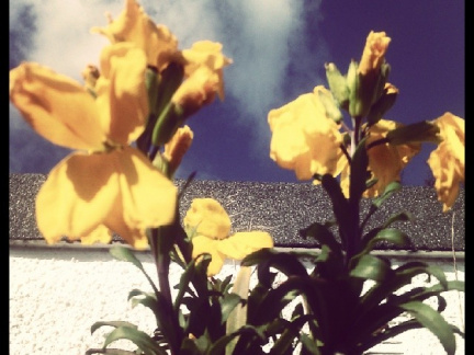 76f5c89e5732b2b8a46b855822a8dfd5