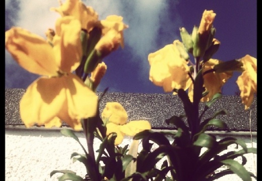 76f5c89e5732b2b8a46b855822a8dfd5