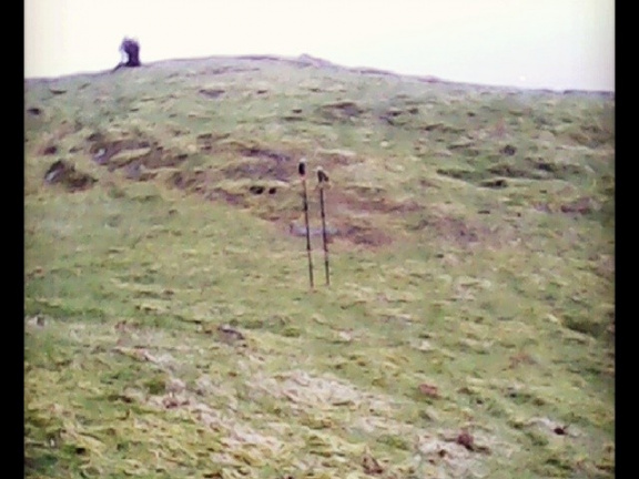 148385c3ebf2ae7215021e1c1058fb24