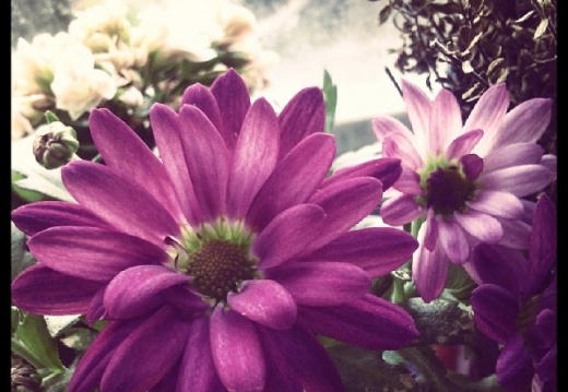 cd8cebd5ea99a21f7b3ef4f5c6edf8ad