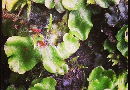 2a0a59b6e7ec43c93c7ef95b78b8af57