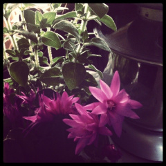 7fde4d60692171b658440142dea56fd5