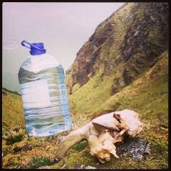 064d28a30b33562d4193609af68d2825