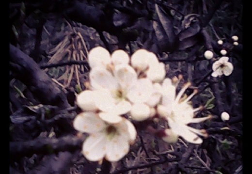 67a29cb32dfd9fbb213aa4ad89cccfad