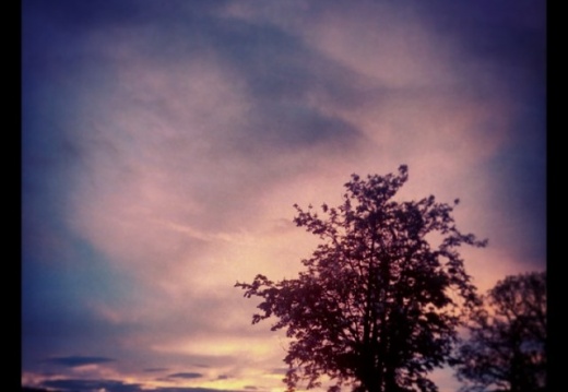 1181a8a04773416016fcc8eb9505bf99