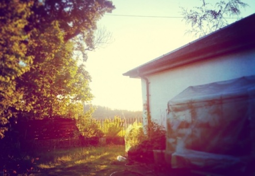 5450f45fecb3d8e7cf4cc8d47f4dc0b1