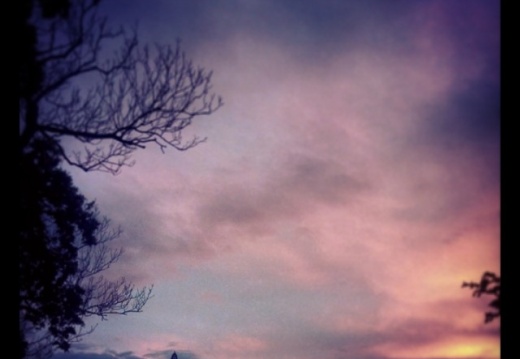 a24981aaea5329765f4ded1dcd7caf93