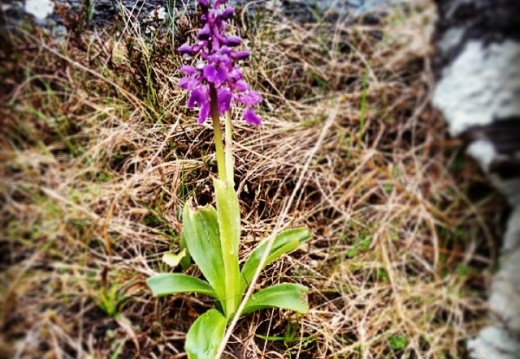 f850b62b113d363b0f664a289c129349