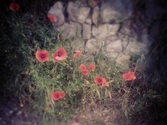 4f9de3ca1728d8efe448521806e8aed9