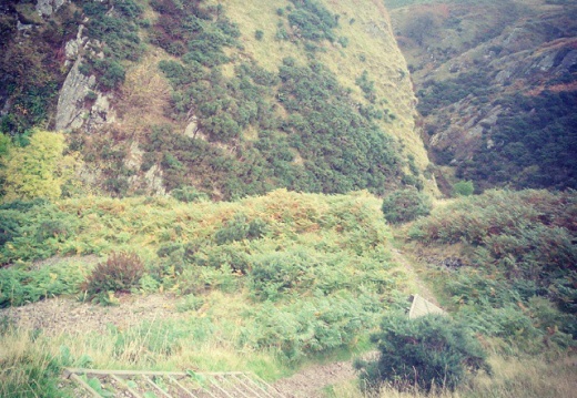 7d9a1793806a18f4bf5c9839c75b5772