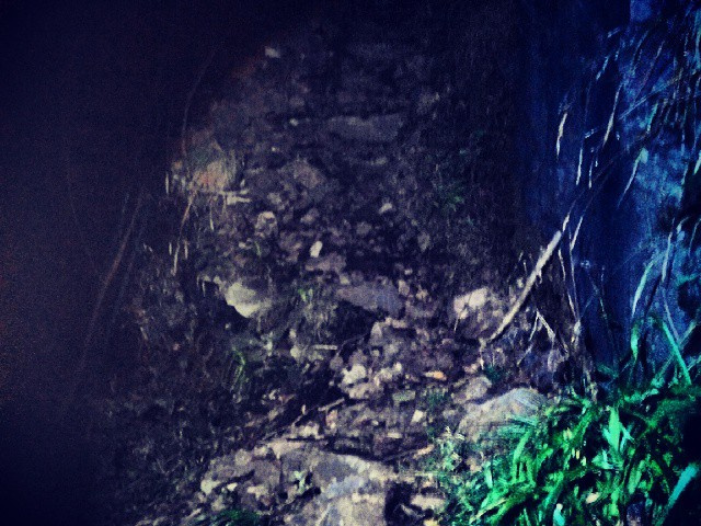 ed206609123317b088a9597309740c78