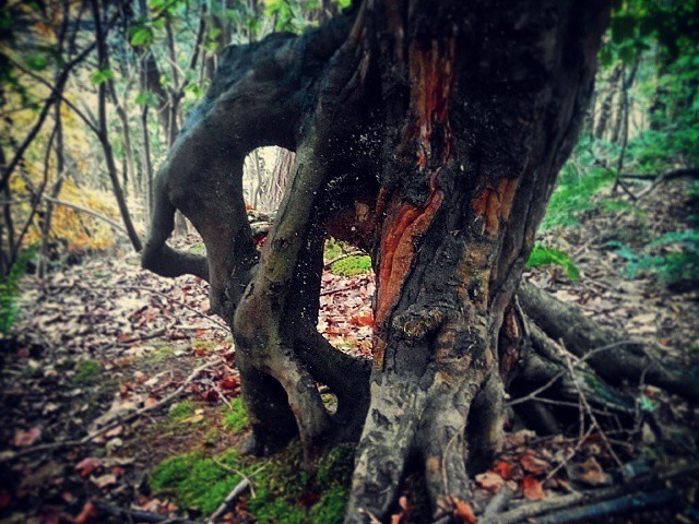 4a3aa4bd7e9b95aa5a22599131f9d8ef