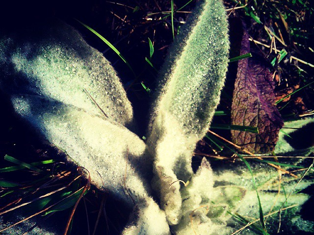 8d0aa8d9b899c36498dc049950315b33