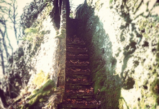 8d57baea1f6d9ef9c2c05669d6af111b