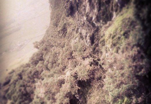 43cd0a9f6f4f4a3a9a9097fc17c4e960