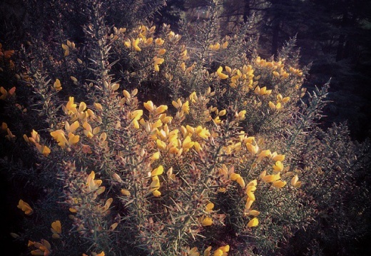 763b199c52b334690b1430d446d18b56