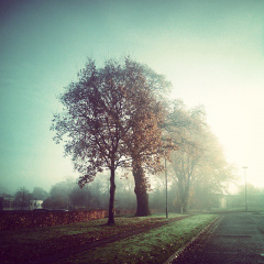 aa83a3d91b460a75a067a83c0b9eac77