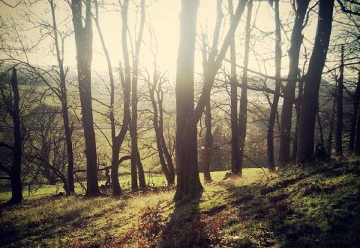 d5f199c80a38f45901531d4450b3207e